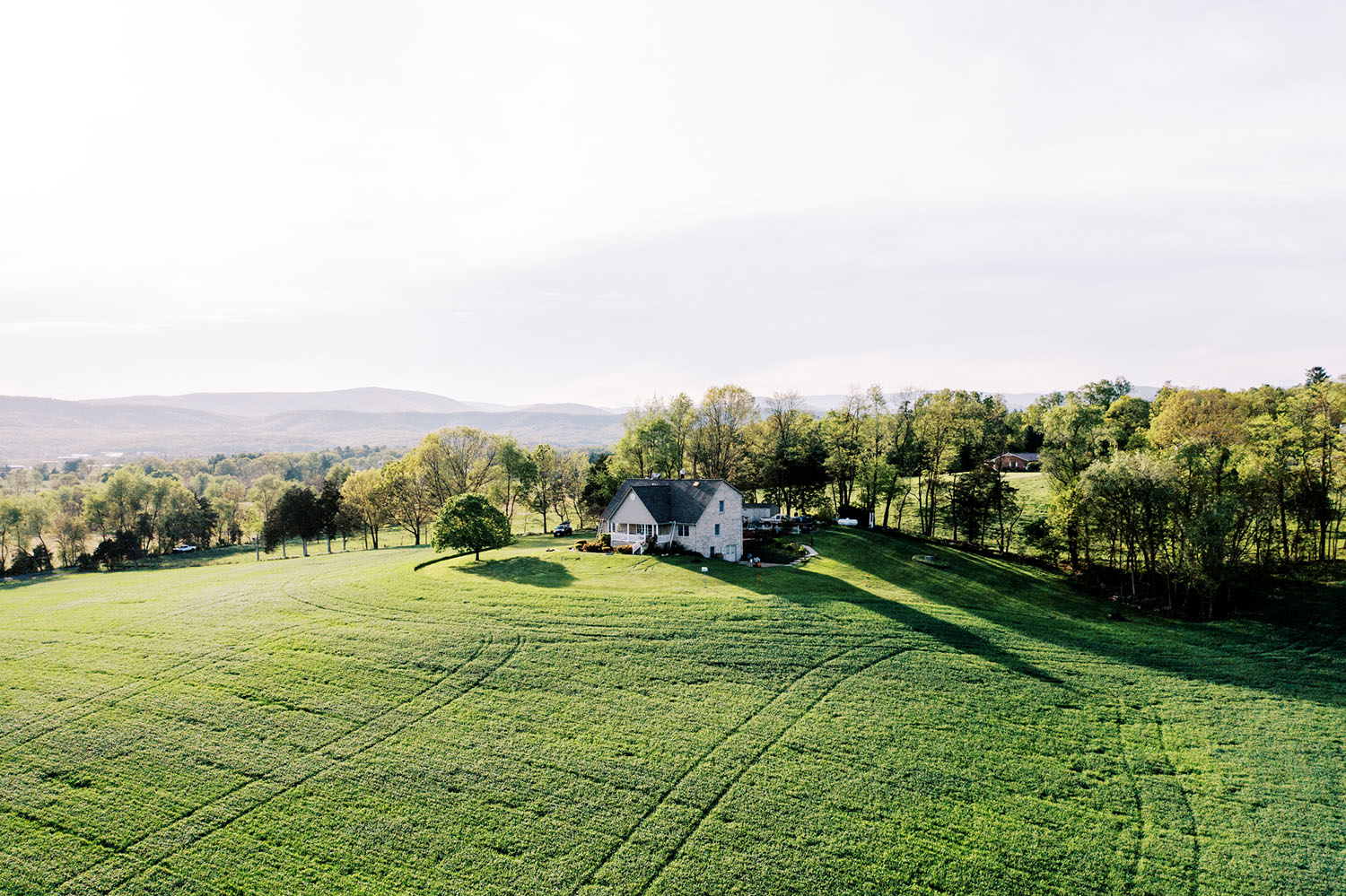 construction branding